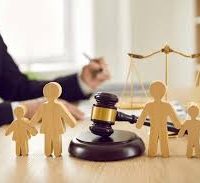 custody law